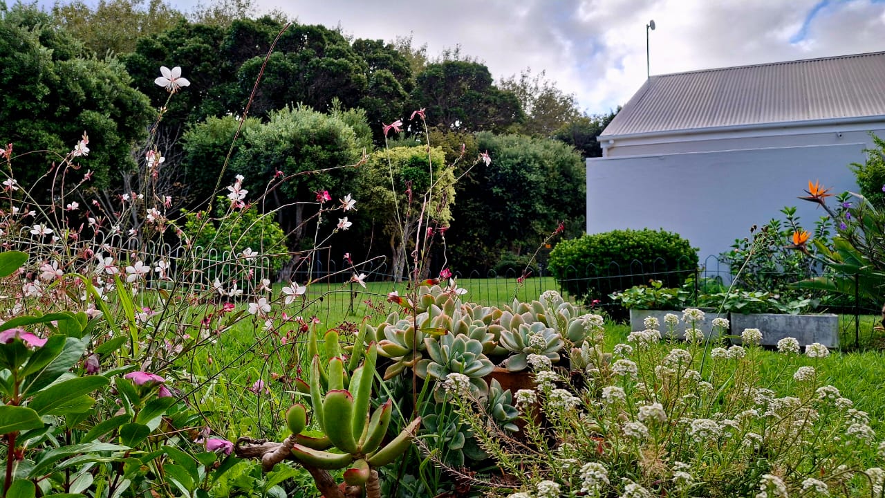 Resident's garden with indigenous plants