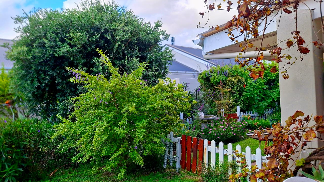 Private garden with picket fence